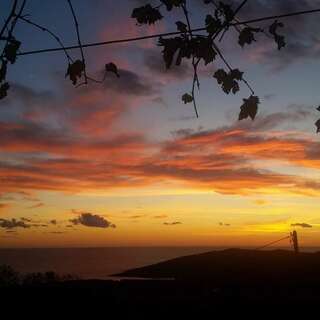 Апартаменты Aleksandra Будва Апартаменты с 1 спальней-1